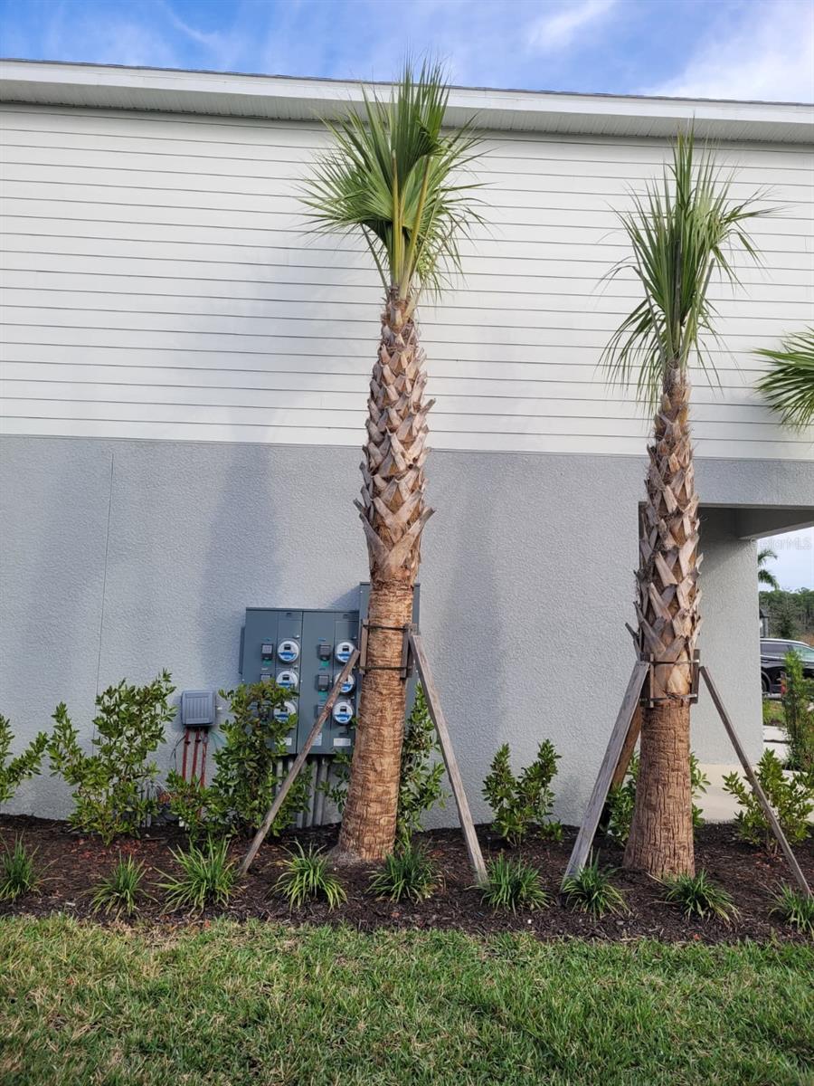 SKYE RANCH NBRHD 2 TWNHMS - Residential