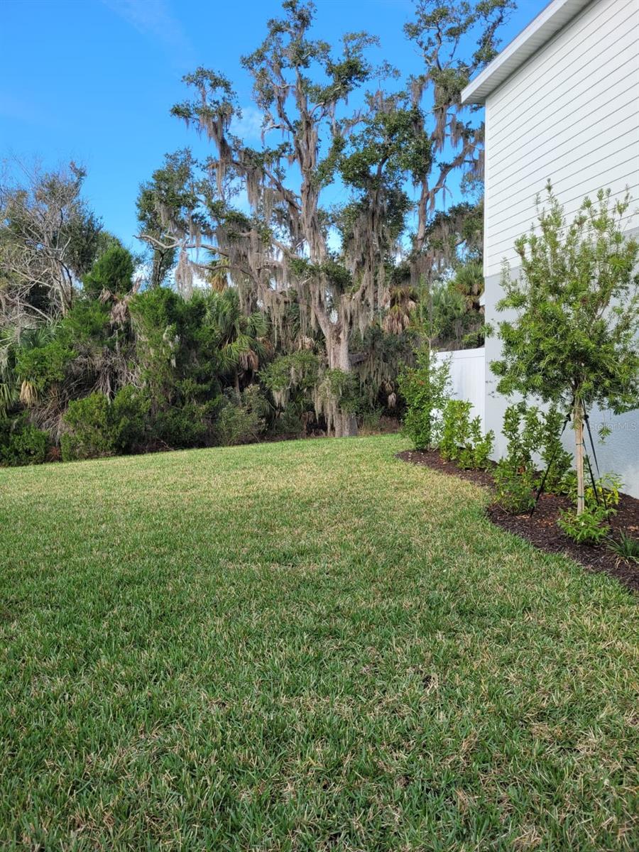 SKYE RANCH NBRHD 2 TWNHMS - Residential