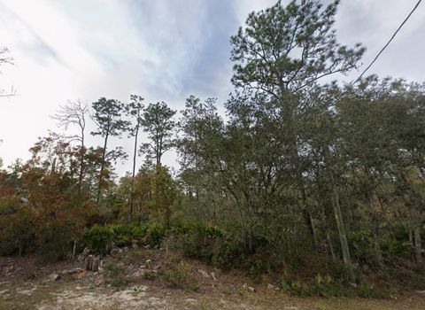 Tiny photo for 22 Fisher Way Track, Ocklawaha, FL 32179 (MLS # OM721896)