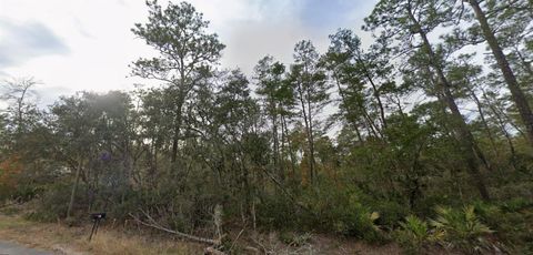 Tiny photo for 22 Fisher Way Track, Ocklawaha, FL 32179 (MLS # OM721896)