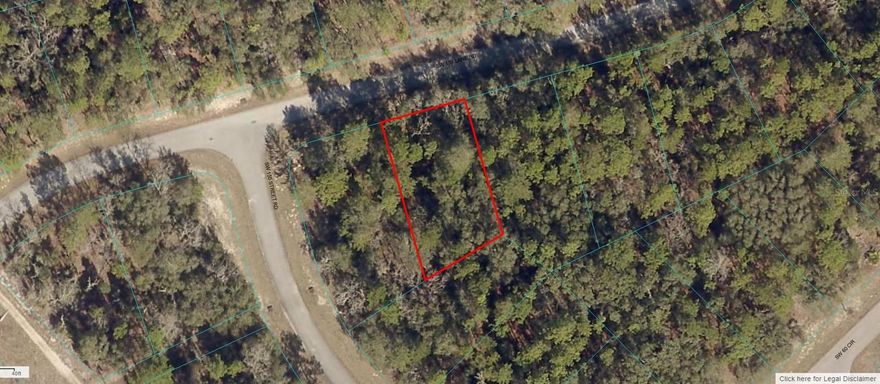 AN OVERSZED VACANT LOT IN MARION OAKS!!! City water available, report attached to MLS.