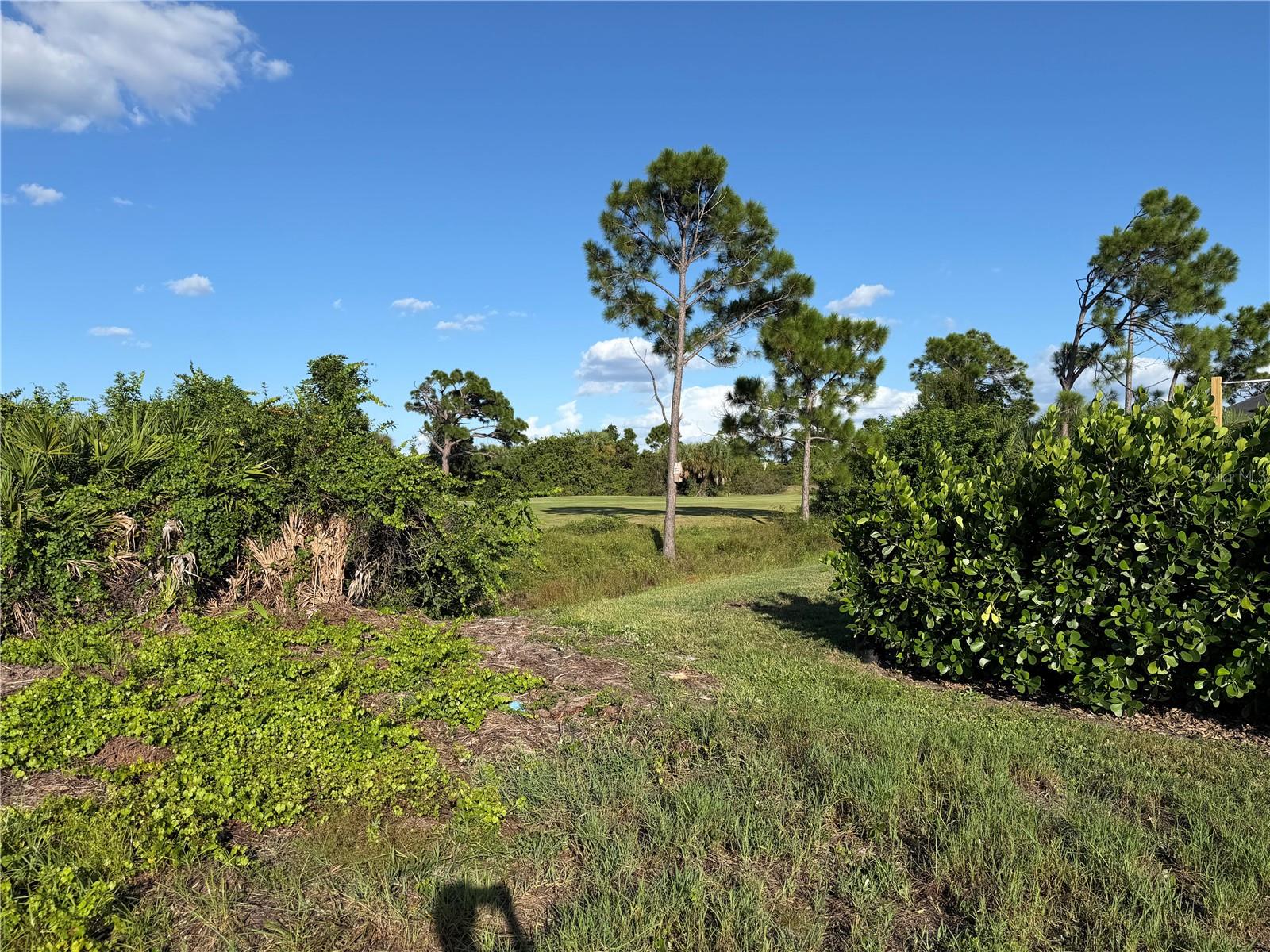 81 PINE VALLEY CT