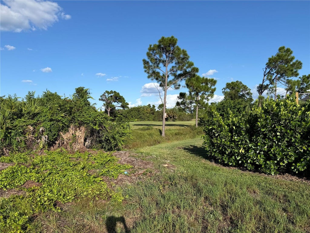 Photo of 81 Pine Valley Ct, Rotonda West, FL 33947 (MLS # D6148811)