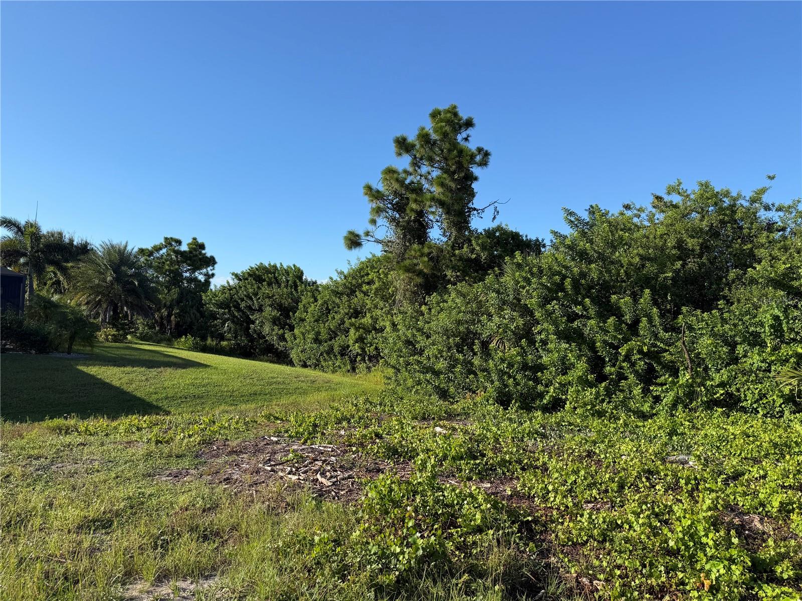 81 PINE VALLEY CT