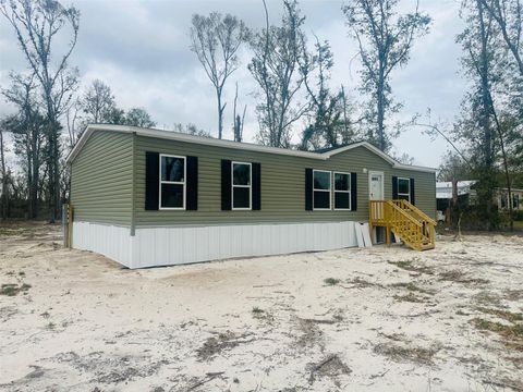 A home in LIVE OAK