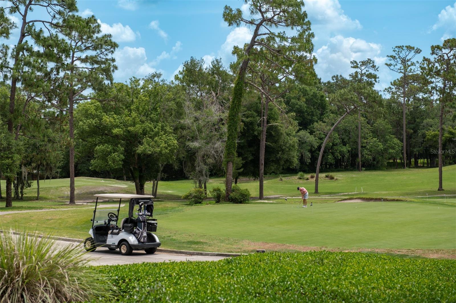 VICTORIA PARK INCREMENT 03 - Residential