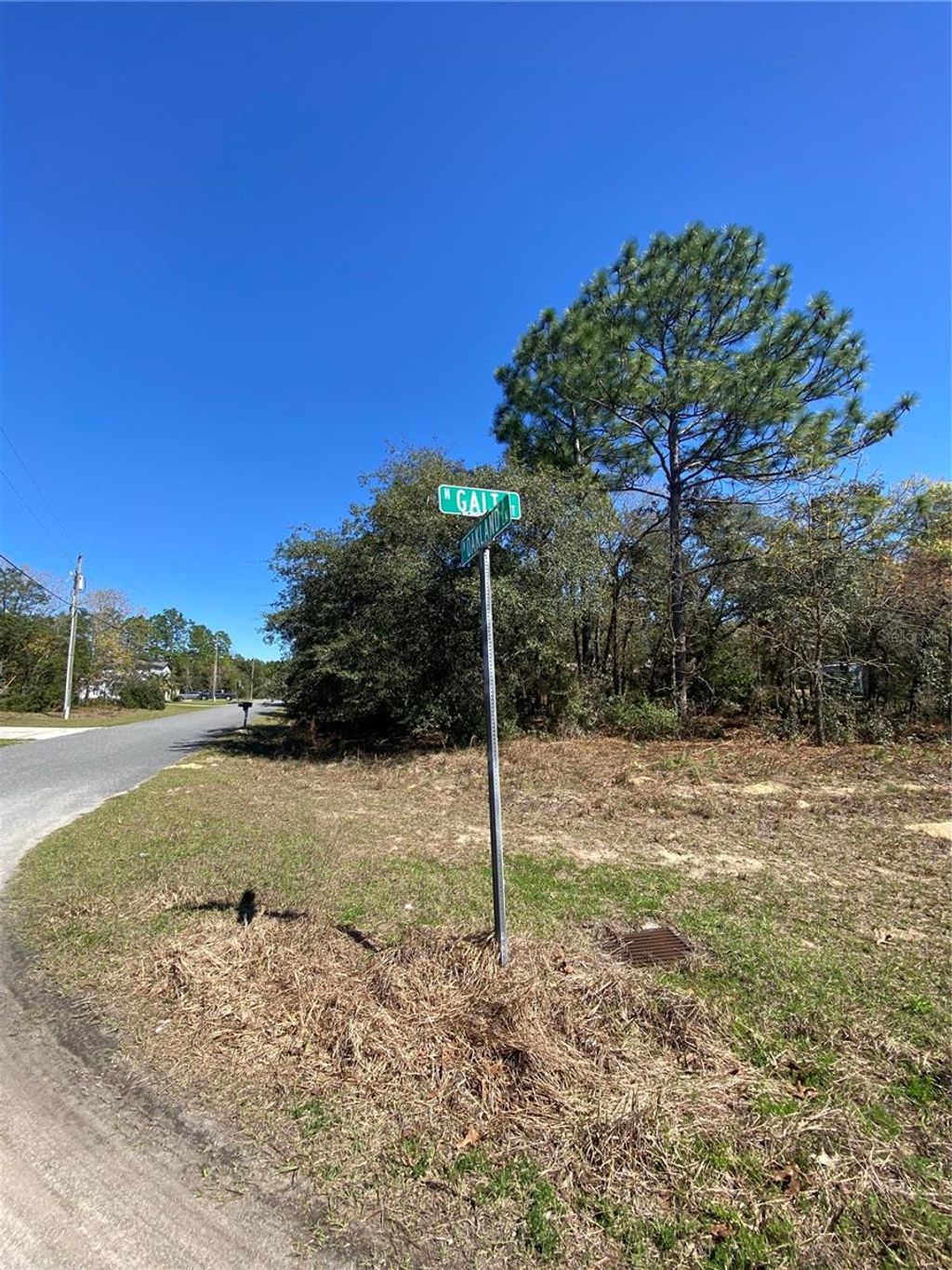 Photo of 7209 N Galt Point, Citrus Springs, FL 34434 (MLS # TB8400972)