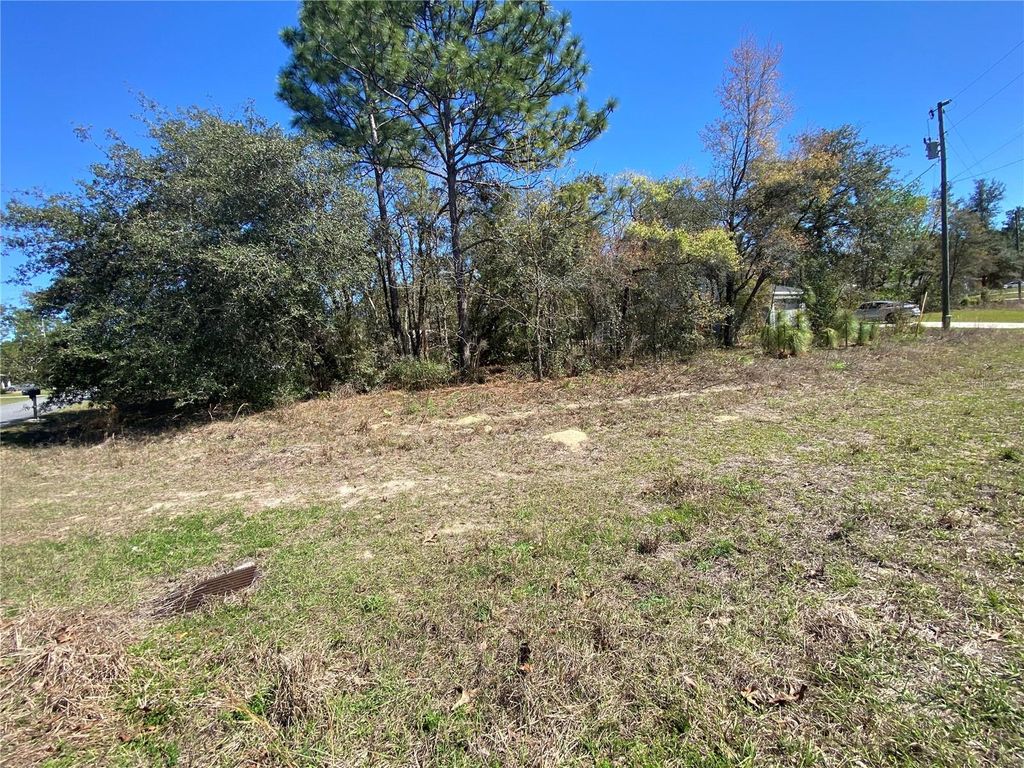 Photo of 7209 N Galt Point, Citrus Springs, FL 34434 (MLS # TB8400972)