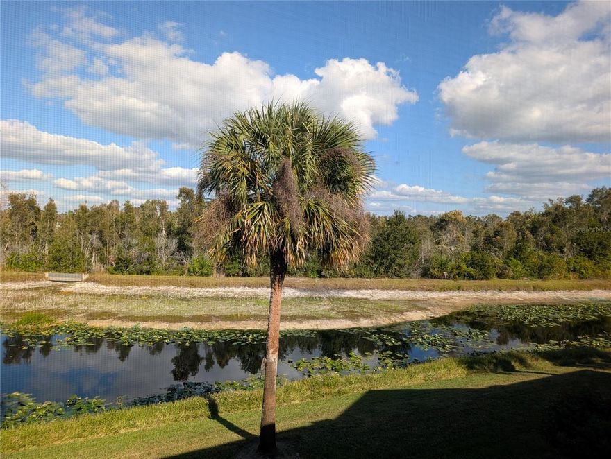 Discover easy Florida living in this light-filled 2-bedroom, 2-bath condo overlooking a peaceful water and nature view in Venice’s desirable Waterside Village. Positioned on the second floor, this residence offers a quiet retreat with a layout designed for comfort and relaxation.
The condo features updated bathrooms and a new AC installed in 2022, giving you modern convenience and worry-free living. Tile flooring runs throughout the home, and the vaulted ceilings in the main living area create an airy, open feel. Large sliding doors draw you out to the generous screened lanai, where you can enjoy the sights and sounds of the surrounding preserve.
The primary bedroom includes a walk-in closet and plenty of natural light, while the kitchen offers a sunny dining nook and breakfast bar—ideal for casual meals or entertaining.
Practical touches include a covered carport and a private storage room on the ground level. Waterside Village is known for its low-maintenance lifestyle, with HOA fees covering water, trash, pest control, basic cable, and more. Residents also enjoy access to multiple amenities, including a heated pool, clubhouse, tennis courts, shuffleboard, bocce, and picnic areas with grills.
Set in a central location close to everyday conveniences, you’re only 10 minutes from downtown Venice and 15 minutes from the Gulf beaches—perfect for enjoying all the best parts of the Florida lifestyle.