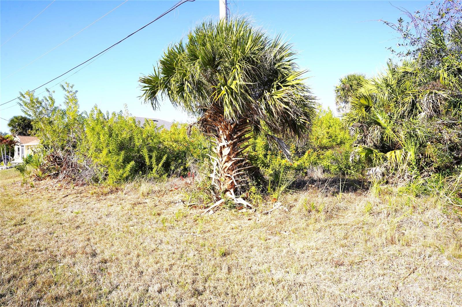 142 SUNNY WAY, ROTONDA WEST, FL, 33947 2 142 SUNNY WAY