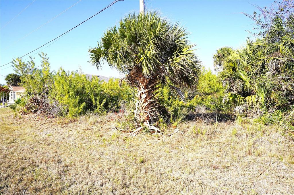 Photo of 142 Sunny Way, Rotonda West, FL 33947 (MLS # C7522414)