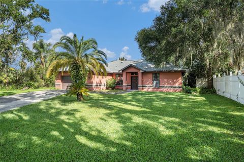 Photo of 23211 Dover Drive, Land O Lakes, FL 34639 (MLS # TB8432227)