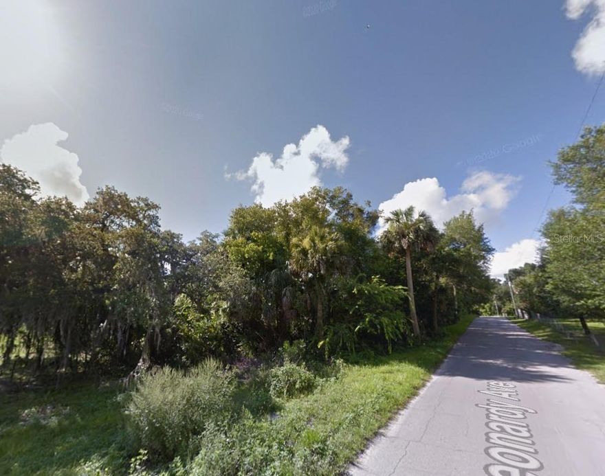 HUGE 1.53 Acre Lot on the Corner of Longwood Drive & Leonardy Ave. Nestled in Tranquil and Charming Osteen Florida Oversized Lots Do Not Come Along Often, Take Advantage of this Opportunity! Zoned R-4 Makes This Property a Great Contender for a Split!! 66,647 Square Feet Total. Come Develop Your Dream Home on a Grand Sized Estate or Split the Parcel and Have Side by Side Development Opportunity! The Options for This Gem of a Property are Plentiful! Out of the Flood Zone and NO HOA means Complete Freedom!!  Osteen, Florida, Offers a Glimpse into Rural Florida with Endless Outdoor Adventures like Osteen Trailhead for Biking/Walking the Spring to Spring Trail, Access to the Scenic St. Johns River, and Natural Spots like Green Springs Park. Not to Mention the Unique local Eateries. This Location is Just 30 Minutes from Orlando and 30 Minutes from Beautiful Florida Beaches!! Make an Offer and Secure this Property Today!!