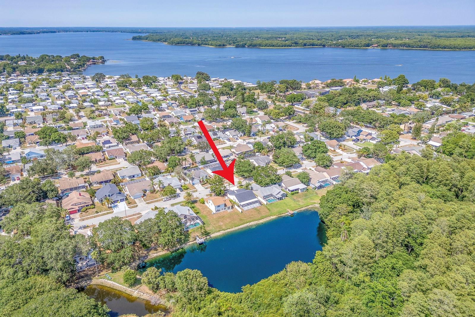 CROSSINGS AT LAKE TARPON - Residential