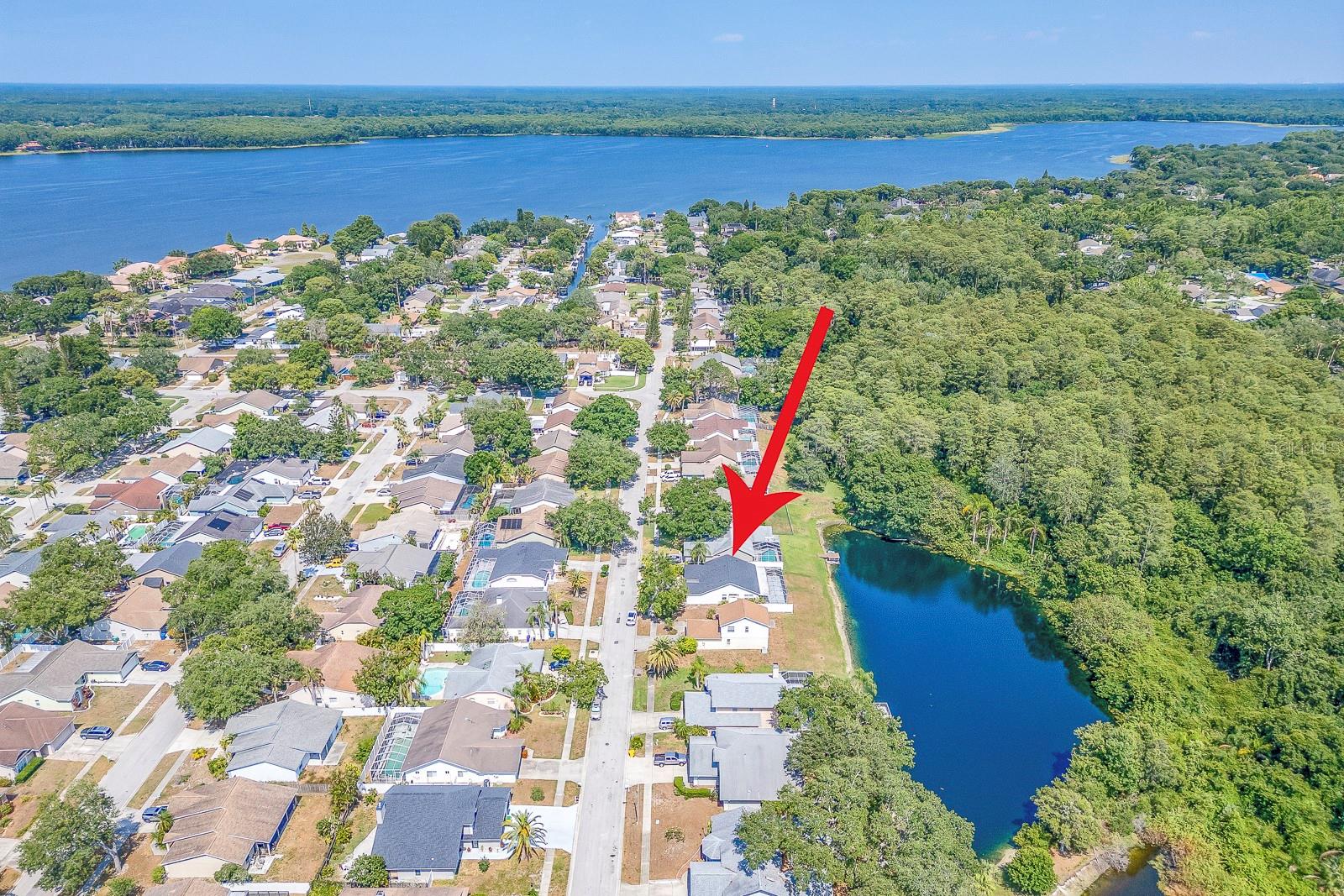 CROSSINGS AT LAKE TARPON - Residential