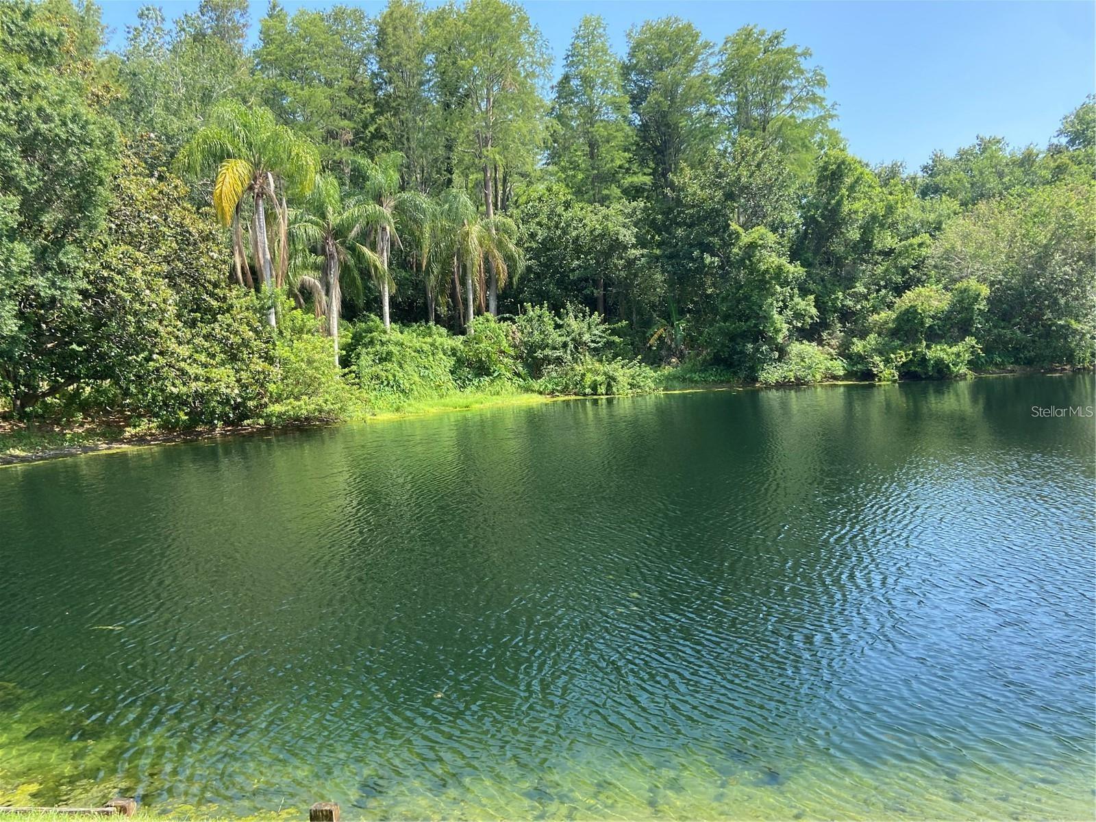 CROSSINGS AT LAKE TARPON - Residential