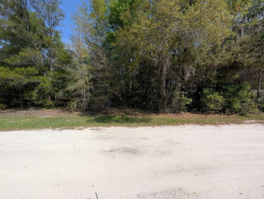 RARE OPPORTUNITY in Rainbow Lakes! This prime .23-acre buildable homesite is perfectly situated on a developed street featuring several new construction homes, ensuring immediate value growth. High-demand features include electricity available at the street and a level terrain ready for your custom build. Enjoy the peace of a rural setting with the convenience of being minutes from US-41, providing rapid access to both Dunnellon and Ocala. Located less than 20 minutes from major shopping (Walmart/Supermarkets) and just a short drive to the world-famous Rainbow Springs State Park. Don't miss your chance to build in this rapidly appreciating pocket of Marion County!
