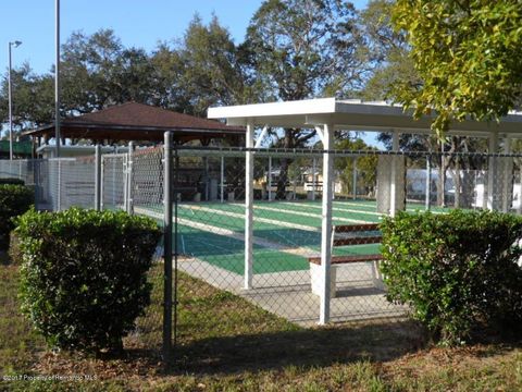 A home in BROOKSVILLE