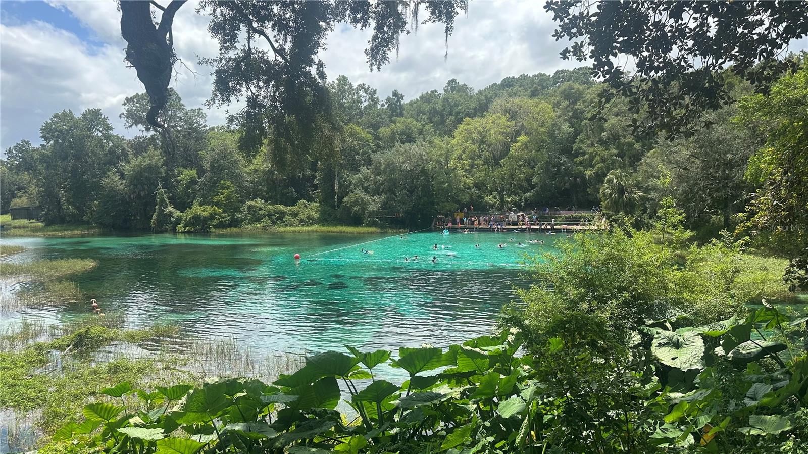 RAINBOW LAKES ESTATE - Land