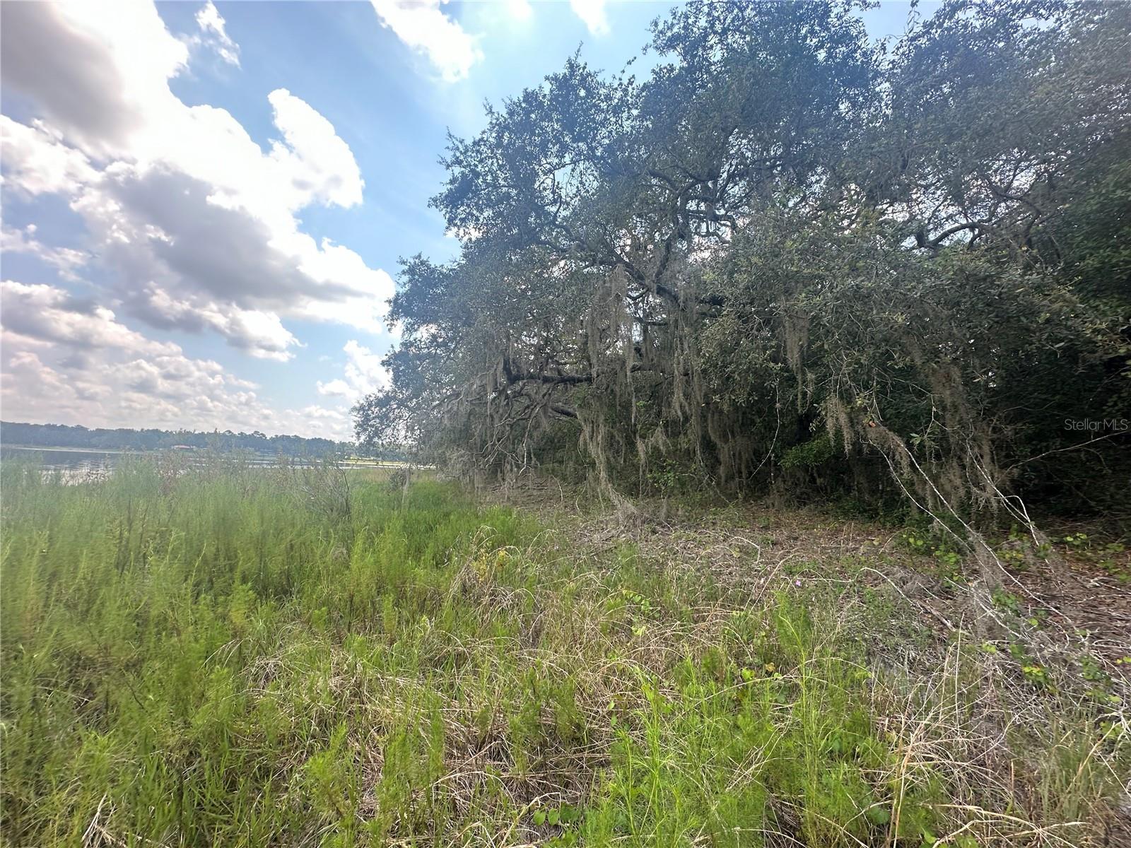 RAINBOW LAKES ESTATE - Land
