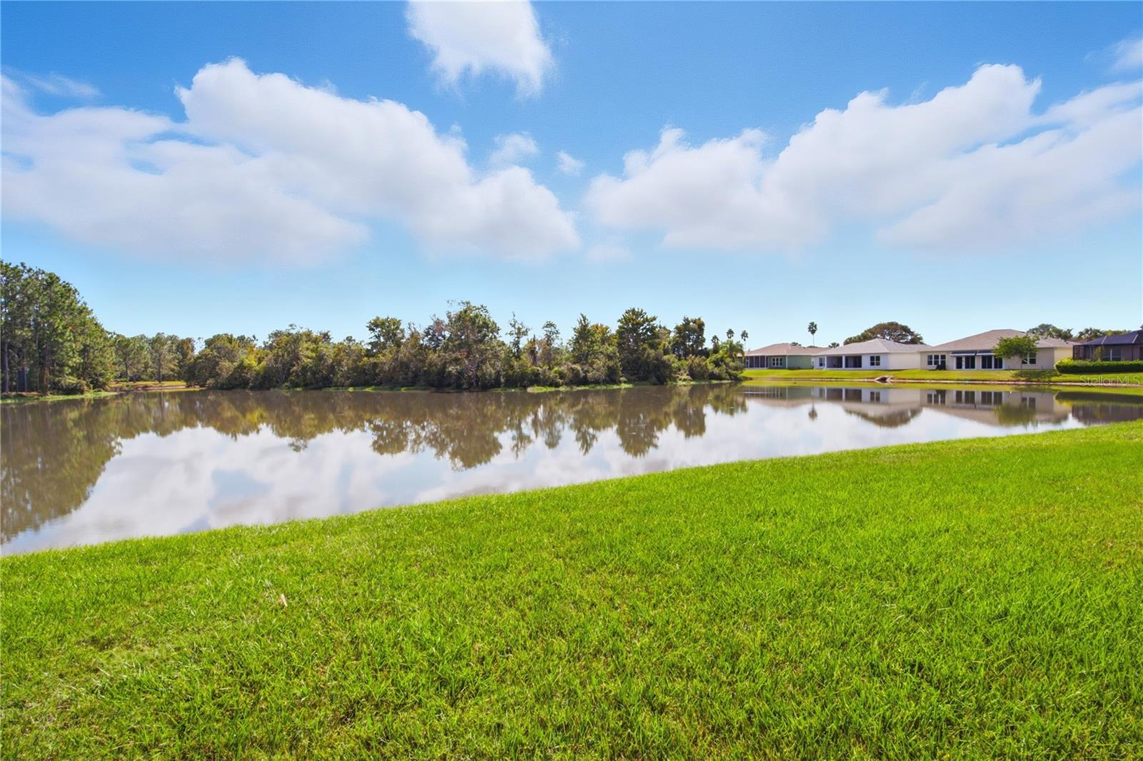 TAMPA BAY GOLF AND TENNIS CLUB - Residential