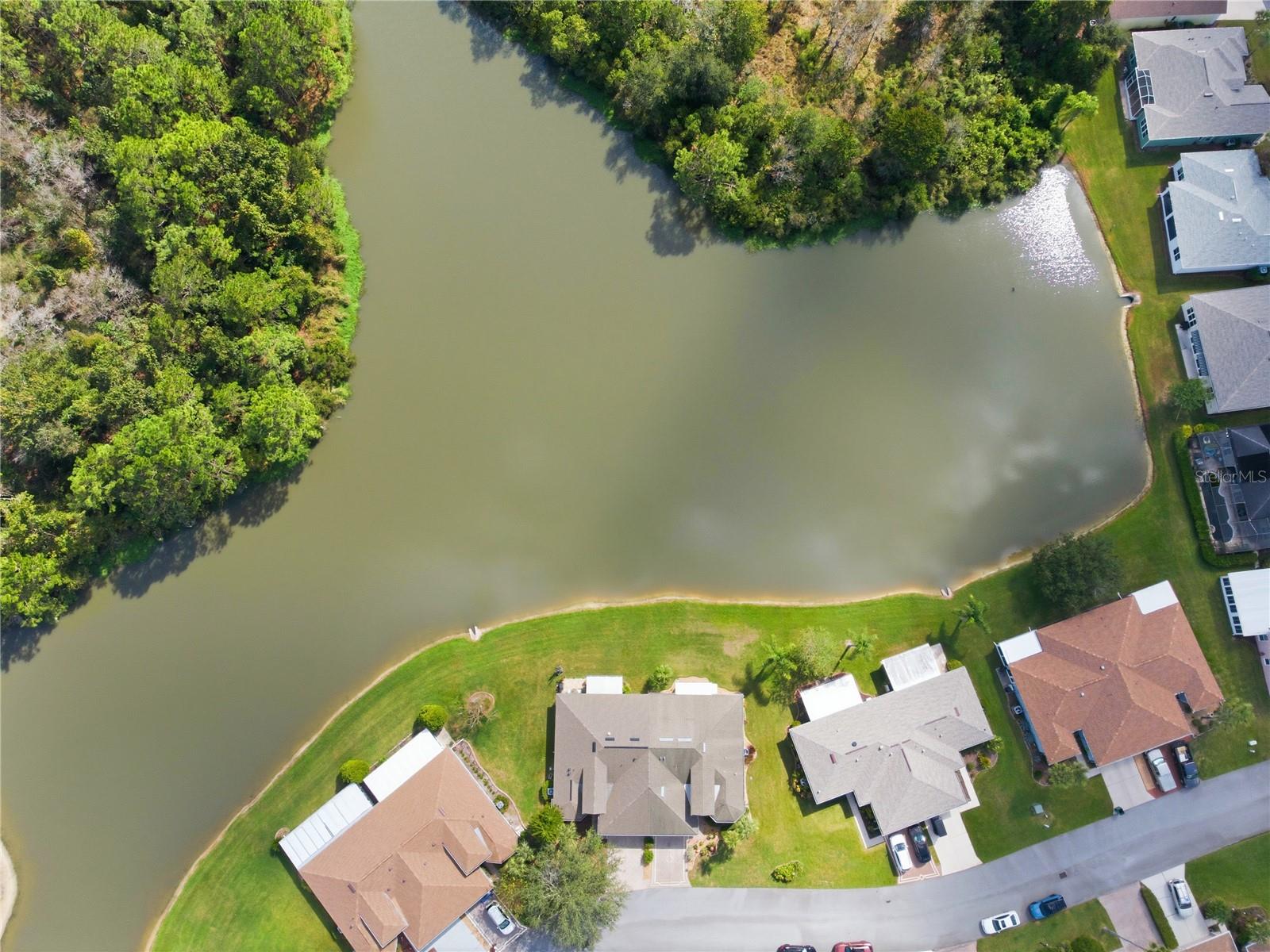 TAMPA BAY GOLF AND TENNIS CLUB - Residential