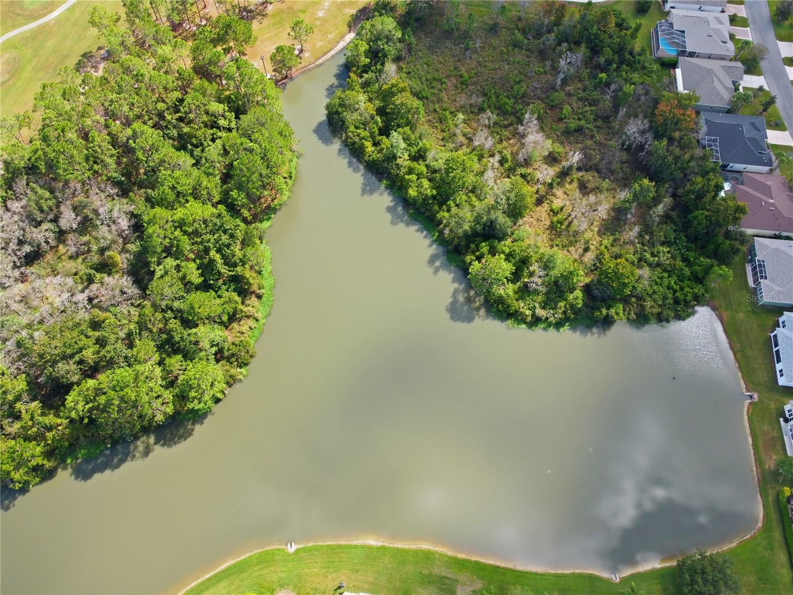 TAMPA BAY GOLF AND TENNIS CLUB - Residential