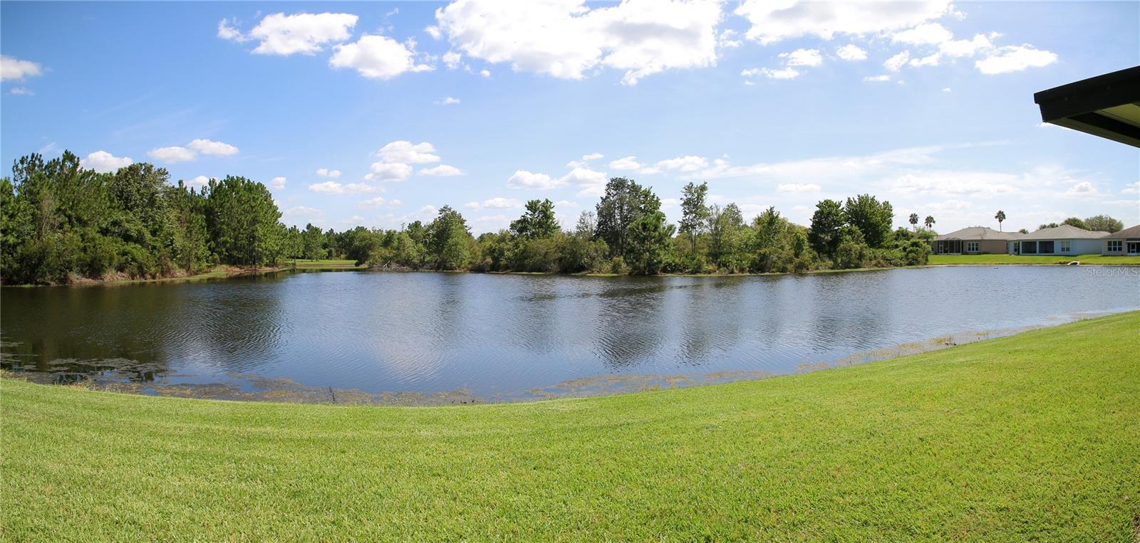 TAMPA BAY GOLF AND TENNIS CLUB - Residential