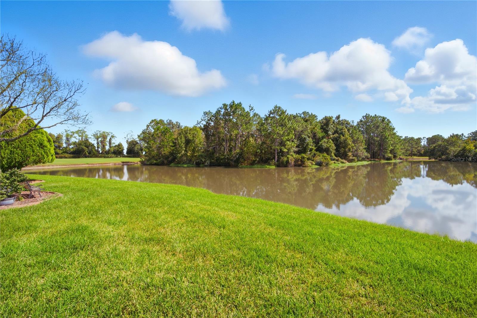 TAMPA BAY GOLF AND TENNIS CLUB - Residential