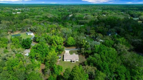 Tiny photo for 8 Guava Pass Trail, Ocklawaha, FL 32179 (MLS # G5110524)