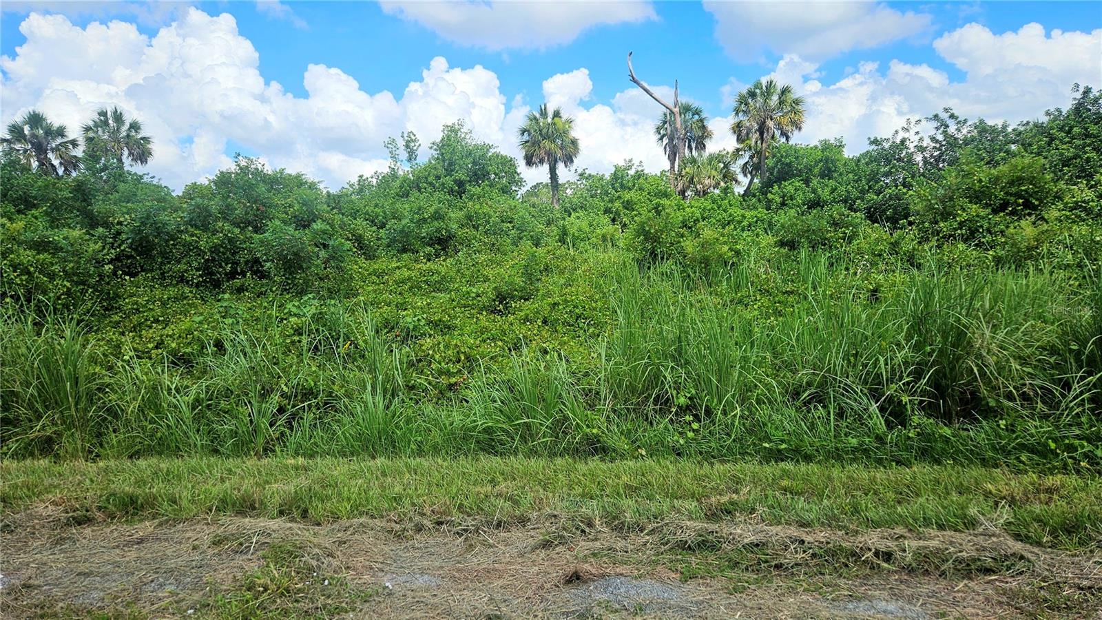 PORT CHARLOTTE SUB 45 - Land