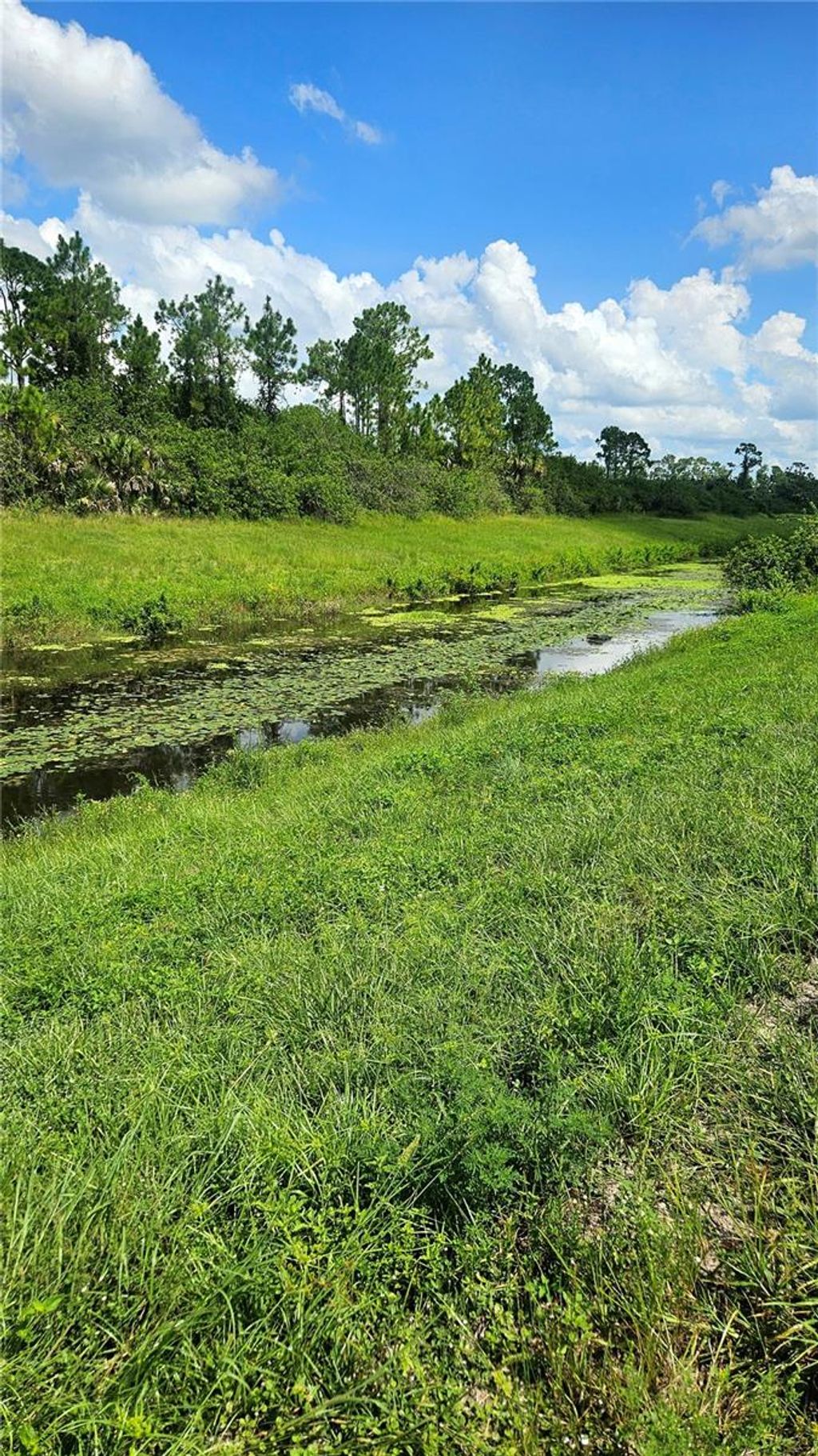 Photo of Custer Lot #25 Circle, North Port, FL 34288 (MLS # C7512895)