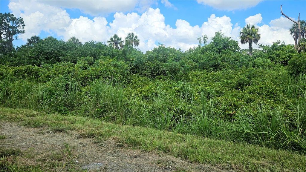 Photo of Custer Lot #25 Circle, North Port, FL 34288 (MLS # C7512895)