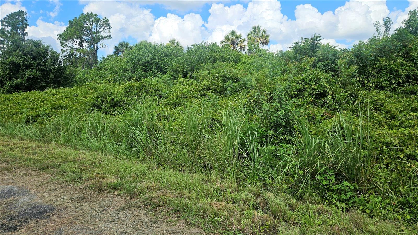 PORT CHARLOTTE SUB 45 - Land