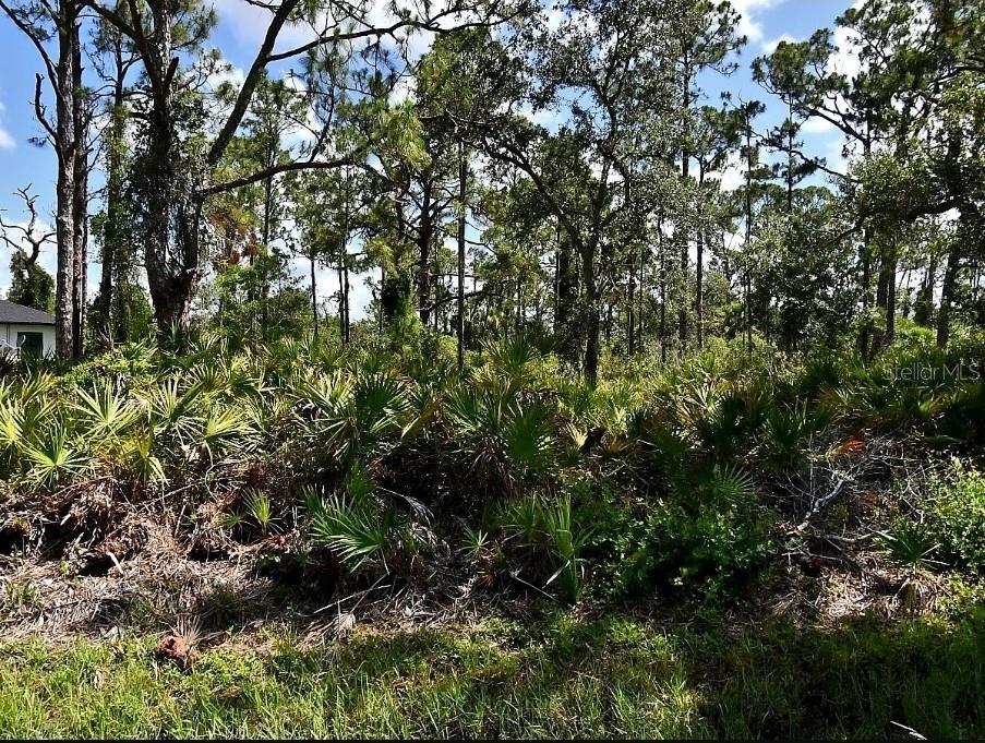 ARE YOU LOOKING TO BUILD OR INVEST! CHECK OUT THESE CONTIGUOUS LOT LOCATED IN AN ESTABLISHED NEIGHBORHOOD OF NORTH PORT,FL ! ATTRACTIVE HOMES SURROUND THIS LAND AND IT IS LOCATED IN THE PEACEFUL ONLY 5 MILES TO PLENTY OF STORES. THE CITY OF NORTH PORT OFFERS SO MANY COMMUNITY HIGHLIGHTS INCLUDING A WATER PARK , BRAVES SPRING TRAINING STADIUM, SHOPPING , DINING, 27 PUBLIC PARKS ,AND LESS THAN A 30 MINUTE DRIVE TO PRISTINE GULF COAST BEACHES !!! DON'T MISS THIS OPPORTUNITY !!!!