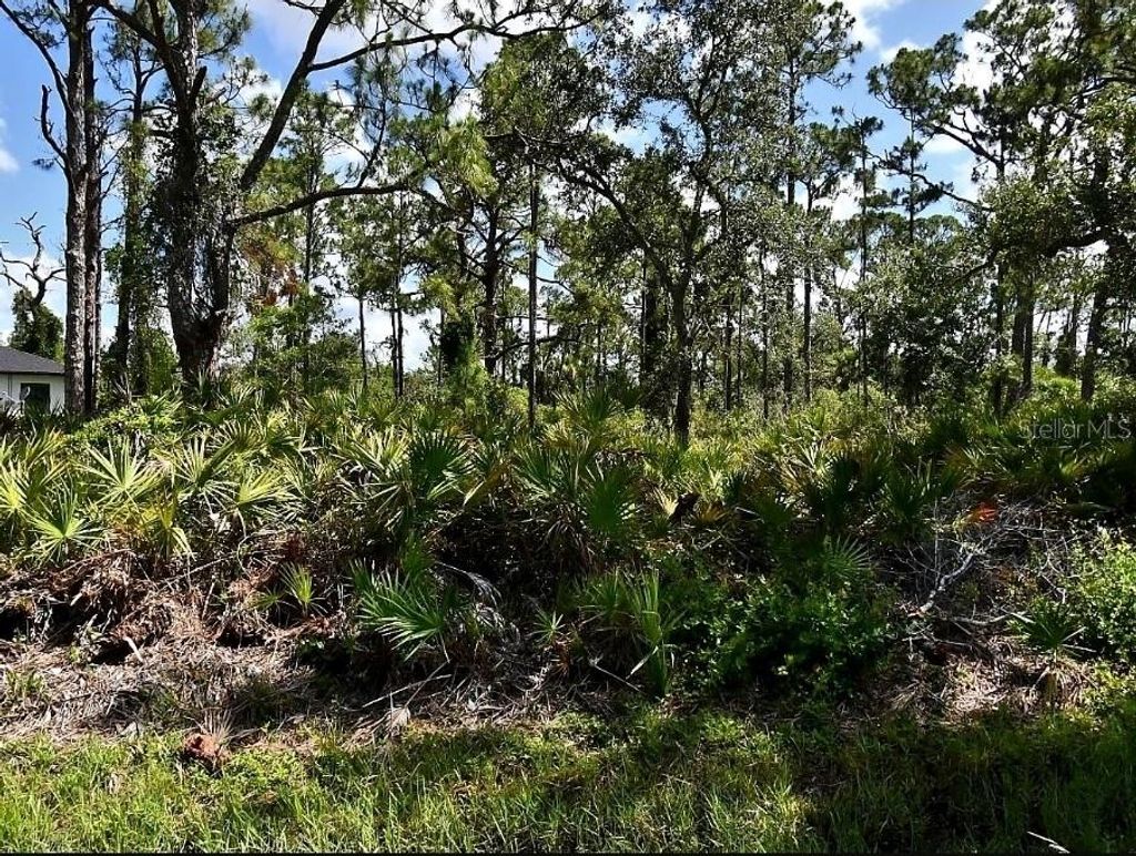 Photo of Vespucius Street, North Port, FL 34287 (MLS # C7512656)
