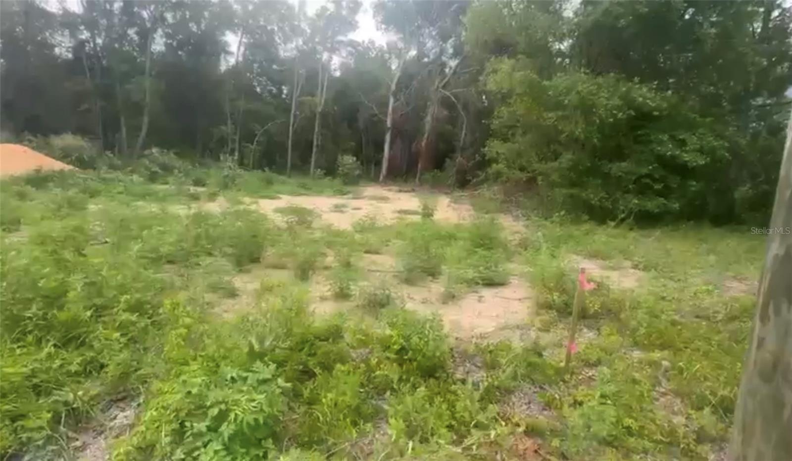 OCALA RIDGE UNIT 7 - Land