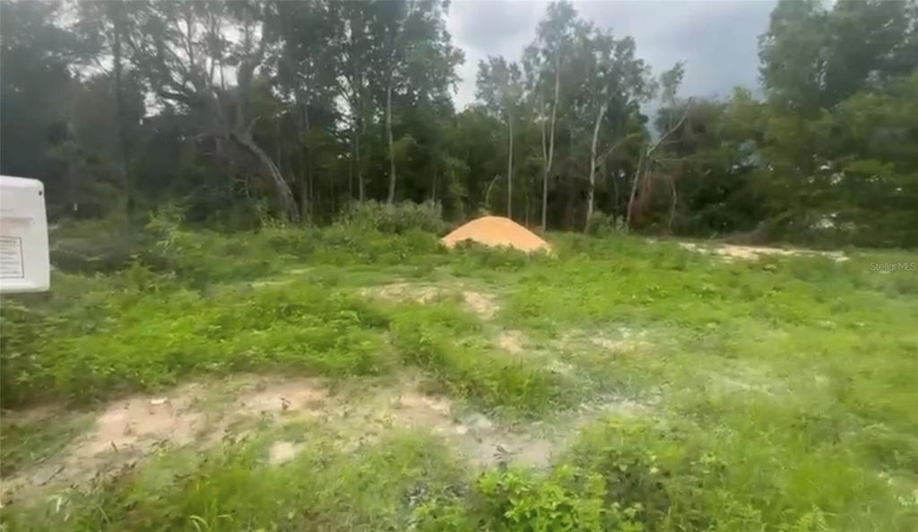 Photo of 5311 NW 7th Street, Ocala, FL 34482 (MLS # O6383079)