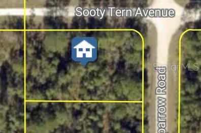 Photo of Sooty Tern Avenue, Weeki Wachee, FL 34614 (MLS # W7887676)