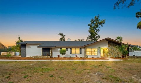 916 RIVER RAPIDS AVENUE BRANDON FL 33511