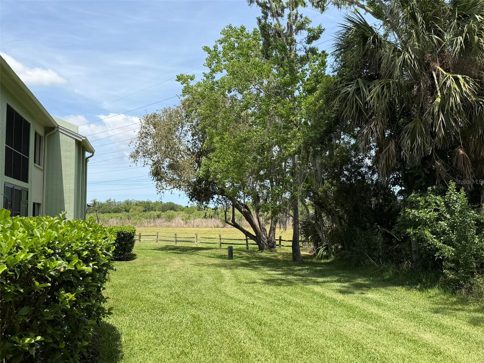 EAST LAKE WOODLANDS CONDO - Residential Lease