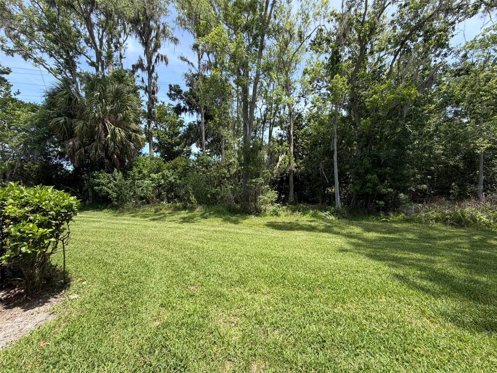 EAST LAKE WOODLANDS CONDO - Residential Lease