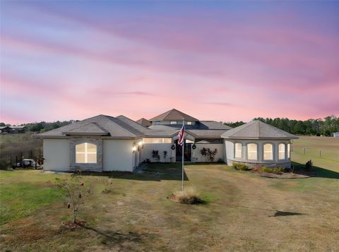 Photo of 13023 Sweet Hill Road, Polk City, FL 33868 (MLS # O6365526)