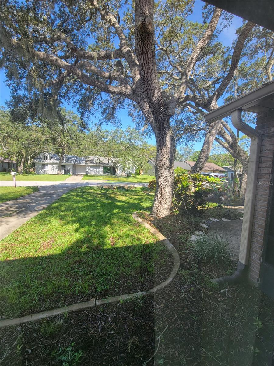 Turnbull Shores Lts 01-99 Inc - Residential