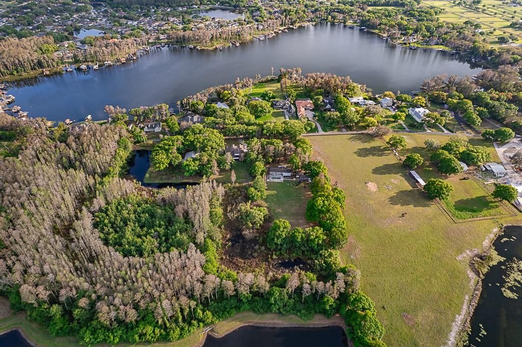 Photo of 13815 Plainview Road, Odessa, FL 33556 (MLS # TB8504016)