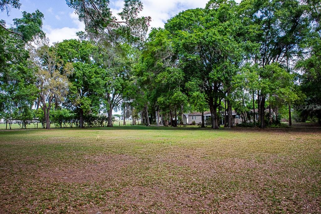 UNPLATTED - Residential