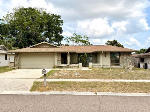 613 SANDY HOLLOW RD TARPON SPRINGS FL 34689