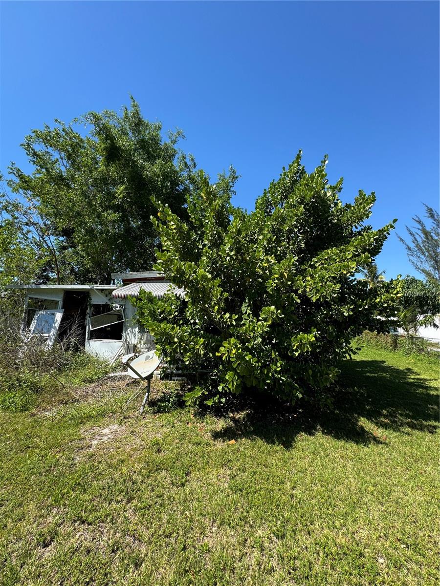 N G & T C L F UNIT 2 - Land