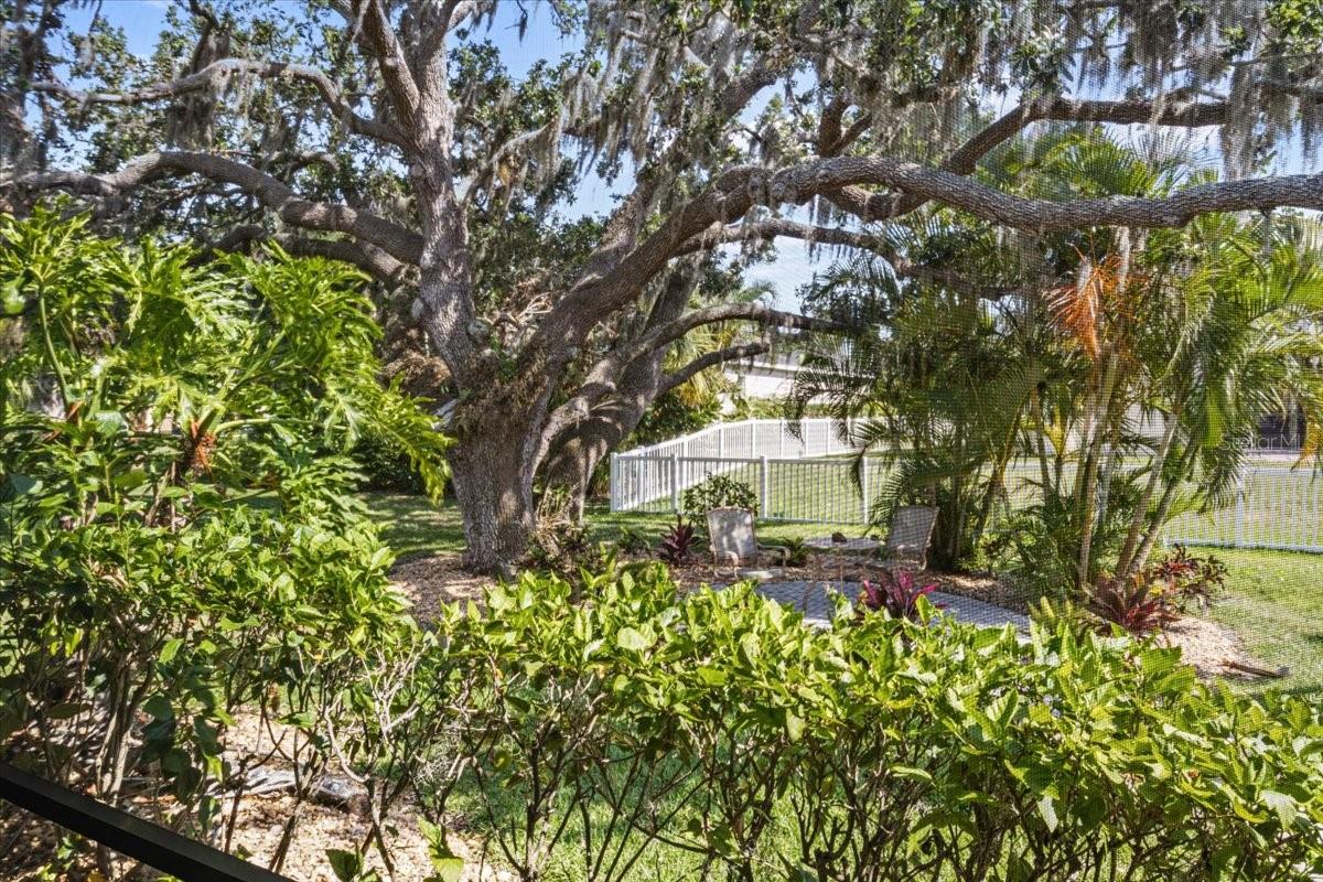 FOREST CREEK PH I & I-A - Residential