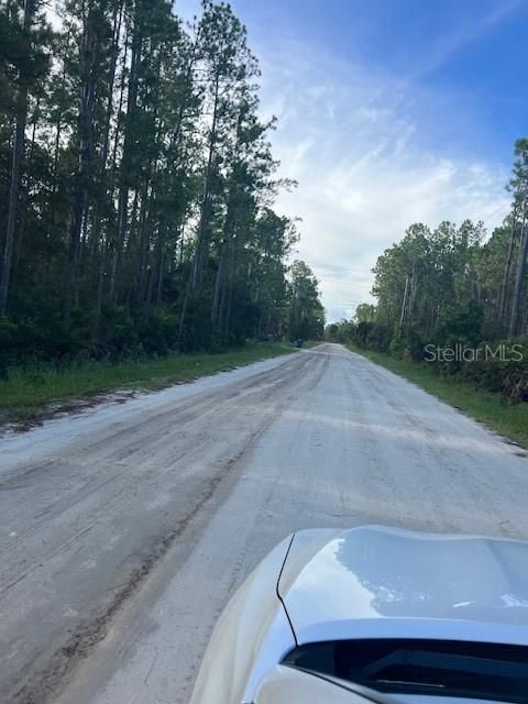 1117 PINEY WOODS TRAIL OSTEEN FL 32764